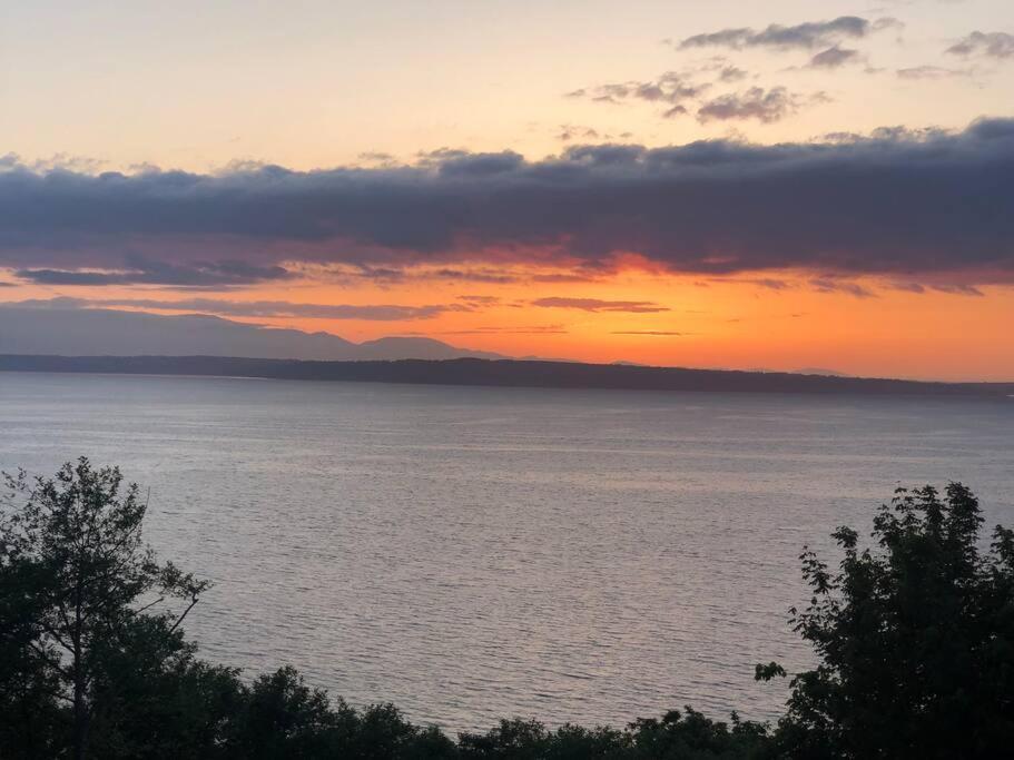 1-Bedroom Seaview Guesthouse On Seattle Luxury Estate With Views Of Olympic Mountains المظهر الخارجي الصورة