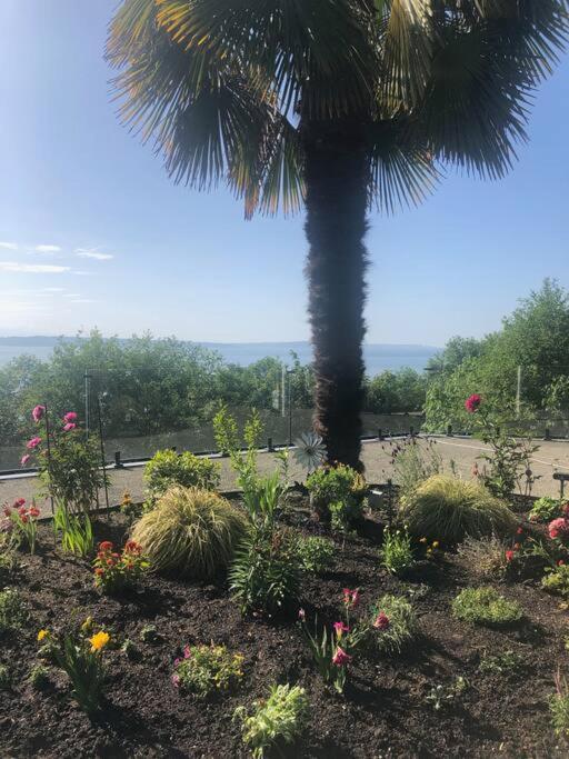 1-Bedroom Seaview Guesthouse On Seattle Luxury Estate With Views Of Olympic Mountains المظهر الخارجي الصورة