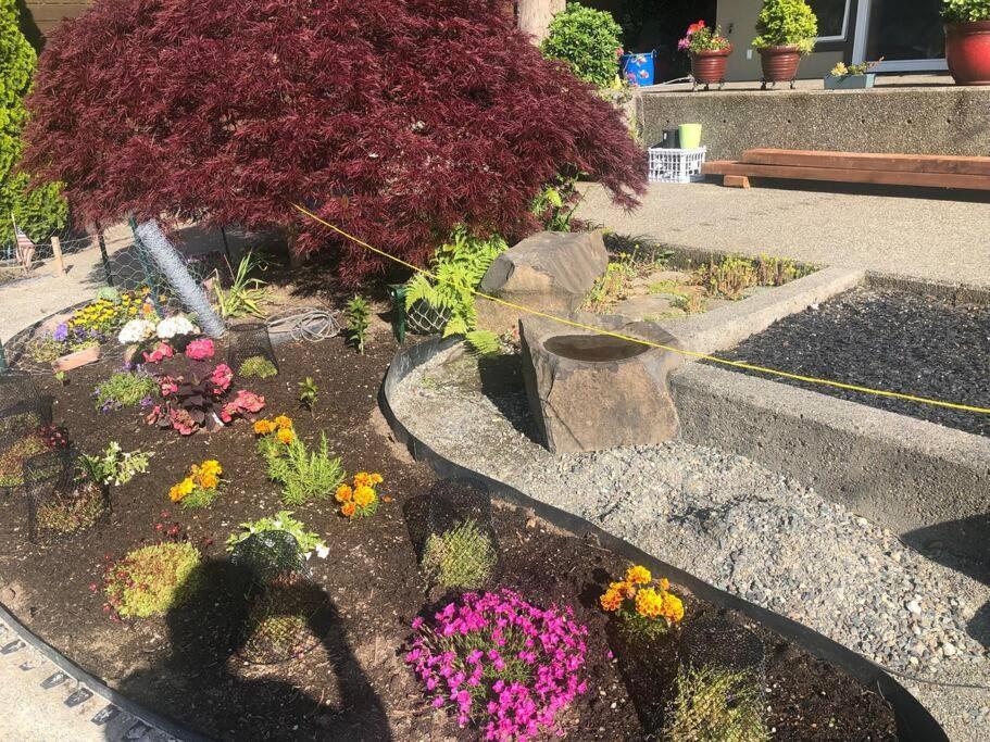 1-Bedroom Seaview Guesthouse On Seattle Luxury Estate With Views Of Olympic Mountains المظهر الخارجي الصورة
