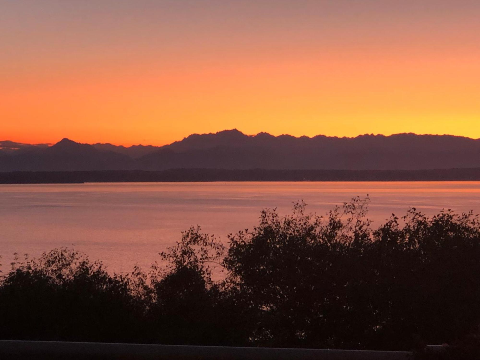 1-Bedroom Seaview Guesthouse On Seattle Luxury Estate With Views Of Olympic Mountains المظهر الخارجي الصورة